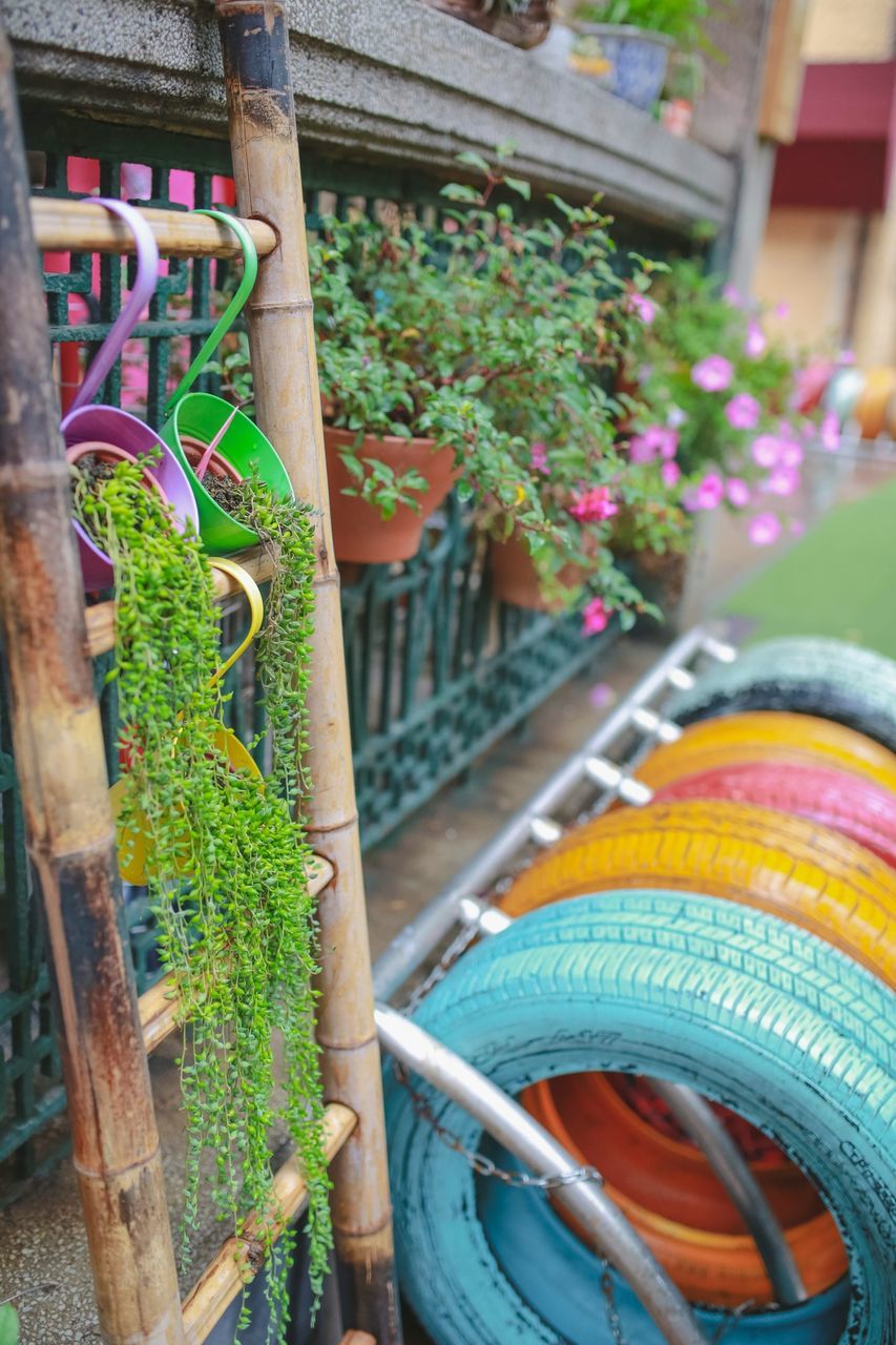 multi colored, flower, colorful, potted plant, built structure, wood - material, day, outdoors, plant, railing, no people, close-up, building exterior, growth, architecture, nature, tree, house, steps, beauty in nature