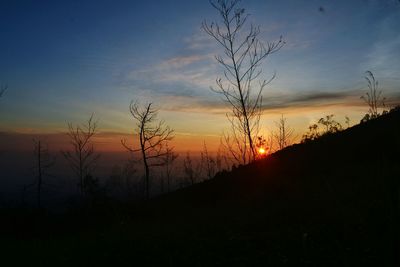 Silhouette bare trees on landscape against sky during sunset