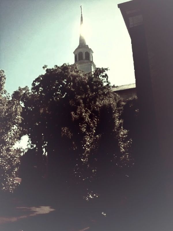 building exterior, architecture, built structure, tree, low angle view, religion, tower, church, clear sky, sky, place of worship, tall - high, spirituality, growth, day, outdoors, branch, sunlight