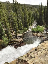 Scenic view of waterfall