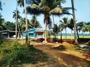 Palm trees on beach by house against sky