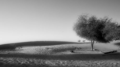 Scenic view of beach against clear sky