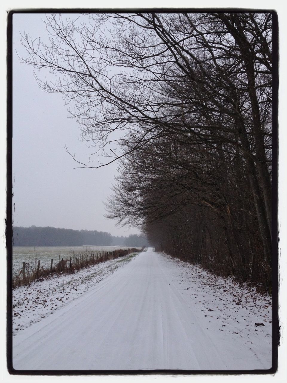 the way forward, transportation, transfer print, diminishing perspective, road, vanishing point, bare tree, tree, auto post production filter, snow, winter, cold temperature, country road, tranquil scene, landscape, tranquility, nature, clear sky, road marking, long