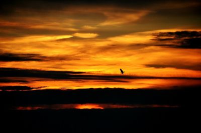 Silhouette of birds flying against cloudy sky