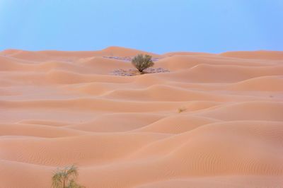 Scenic view of desert against clear sky