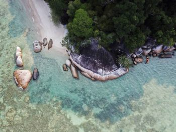 View of ducks swimming in sea