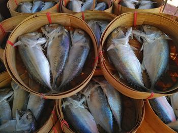 High angle view of fish for sale at market