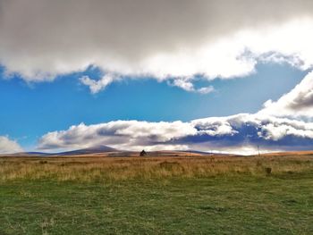 Scenic view of field against sky