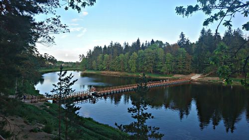 Scenic view of river in forest against sky