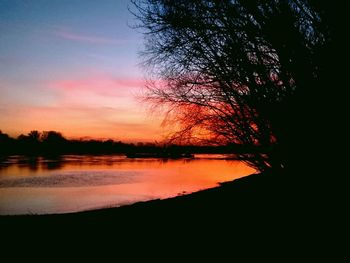 Silhouette of trees at sunset