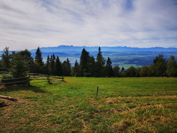 Scenic view of field against sky