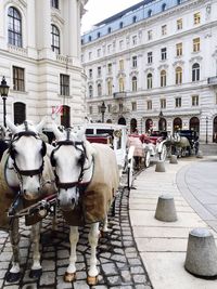 Horse carts on footpath in city