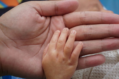 Cropped image of baby and parent hands