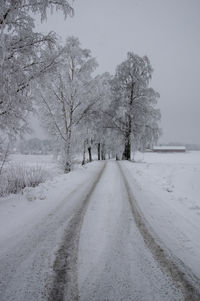 Country road amidst snow covered trees against sky