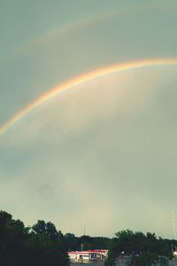 Rainbow over trees