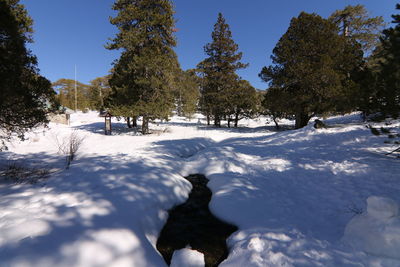 snow
