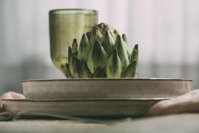 Close-up of vegetable on plate