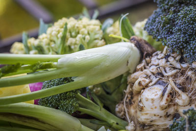 Close-up of vegetables