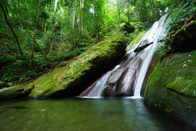 Scenic view of waterfall in forest