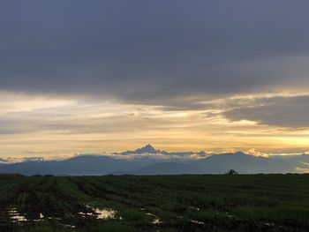 Scenic view of field against sky during sunset