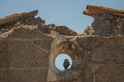 Low angle view of old ruin building against sky