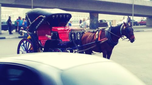 Side view of horse riding motorcycle on street