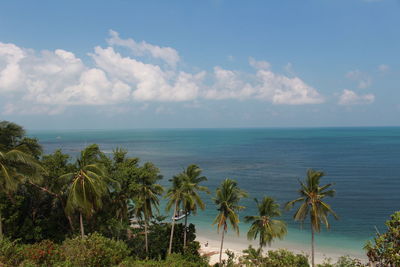 Kalimantan selatan, indonesia - view of the beach and sea from the top of the hill