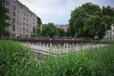 Built structure with trees in foreground