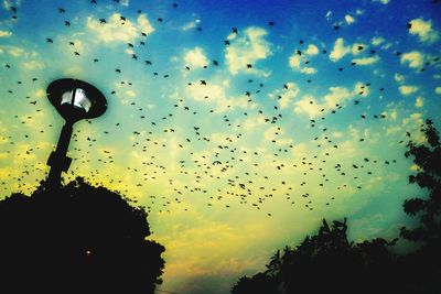 Low angle view of silhouette birds flying against sky