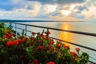 Scenic view of sea against sky during sunset