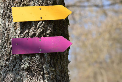 Close-up of pink sign on tree trunk