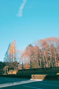 Road by trees against clear blue sky