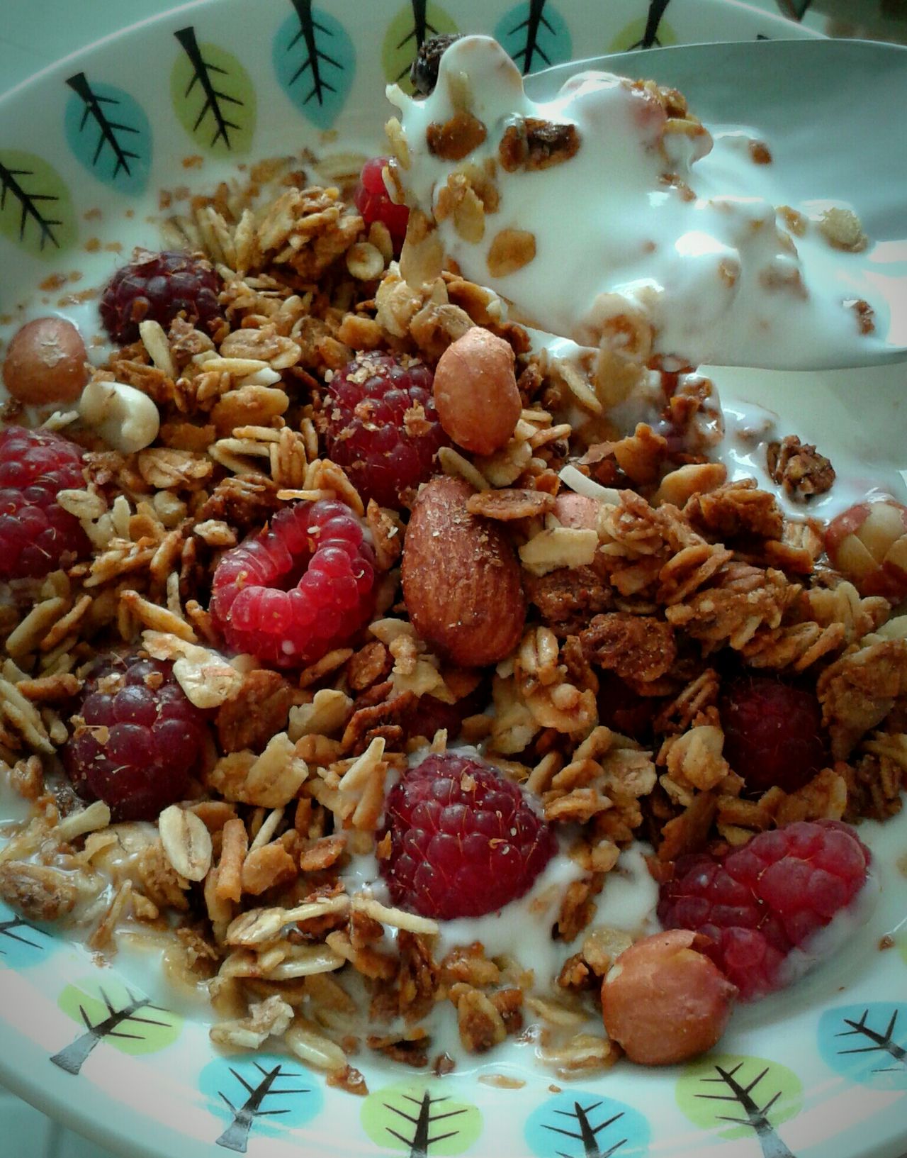 Yogurt&granola