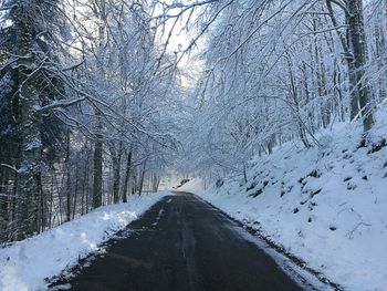 Snow covered trees against sky