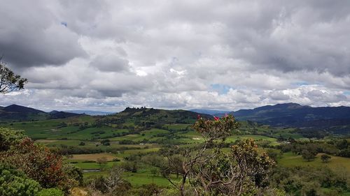 Scenic view of field against sky