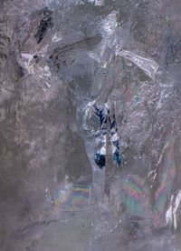 Close-up of person on rock