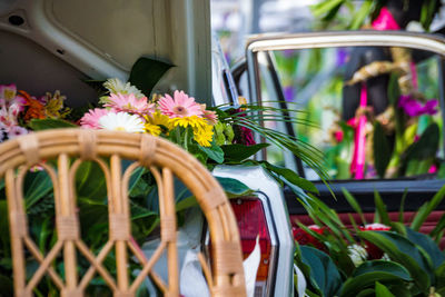 Close-up of pink flowering plants