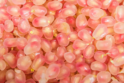 Full frame shot of pink berries