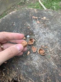 High angle view of hand holding ice cream