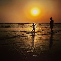 Silhouette people at beach during sunset