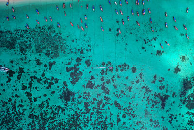 High angle view of people swimming in sea