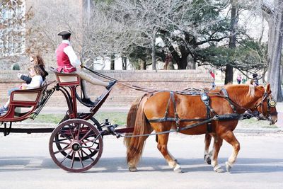 Man riding horse cart