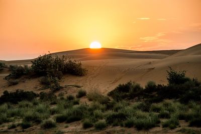 Scenic view of desert against sky during sunset