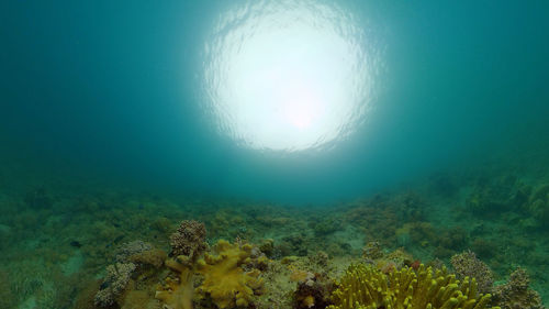 undersea