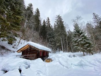 Swiss cabin in the wood with snow