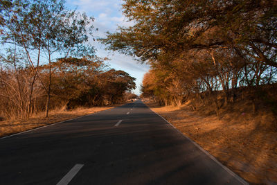 Empty road along trees during autumn