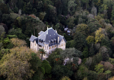 High angle view of house and trees in forest