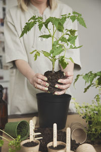 Woman planting herbs and tomato plants