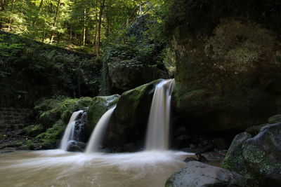 Scenic view of waterfall in forest