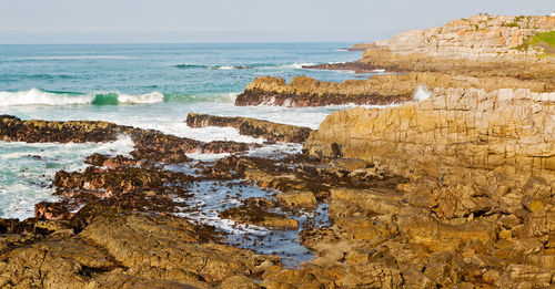 Scenic view of sea shore against sky